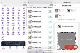 社群人脉交友相亲付费进群副业项目群公众号分销版H5源码